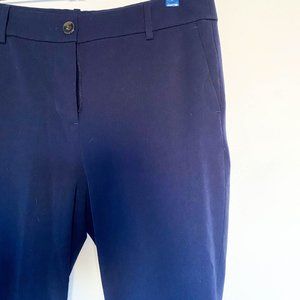 J Crew Straight Leg Navy Blue Dress Pants Size 10
